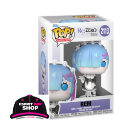 RE : ZERO POP ! Rem 2113